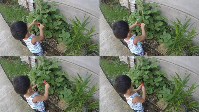 男婴学习用玩具钳切割园艺植物