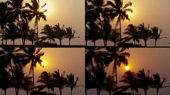 美丽的日落太阳落在棕榈树后面，延时