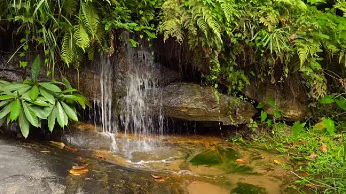 泰国清迈地区Doi inthanon国家公园瀑布的碎片级联，能够循环