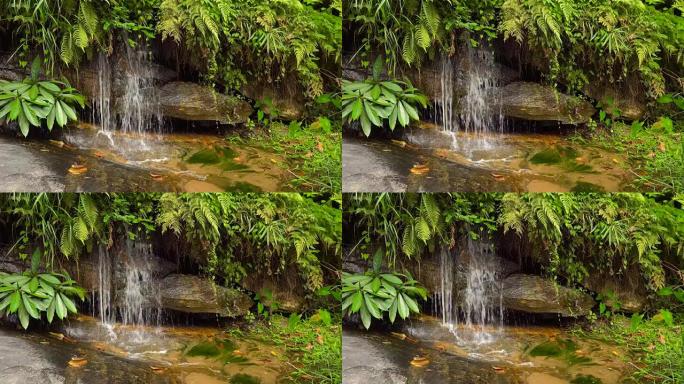 泰国清迈地区Doi inthanon国家公园瀑布的碎片级联，能够循环