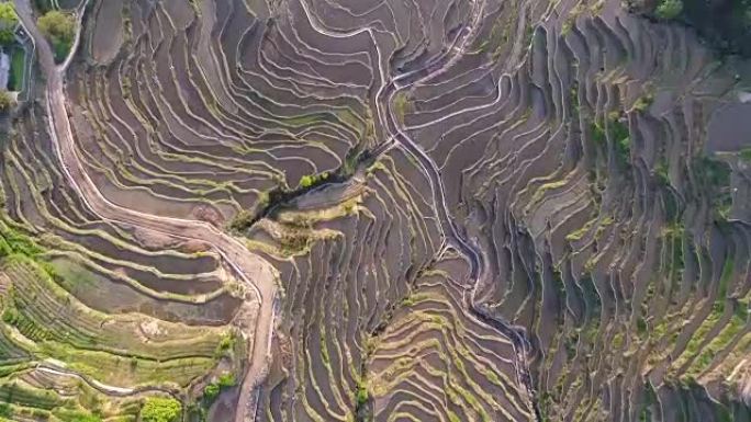 湖北五云山梯田