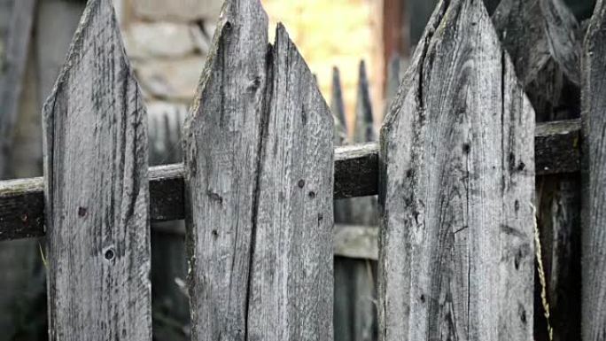 旧木栅栏，覆盖着地衣和钉子