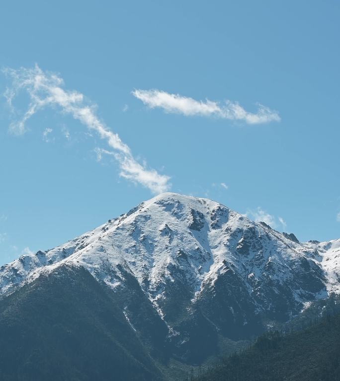 白马雪山竖拍视频