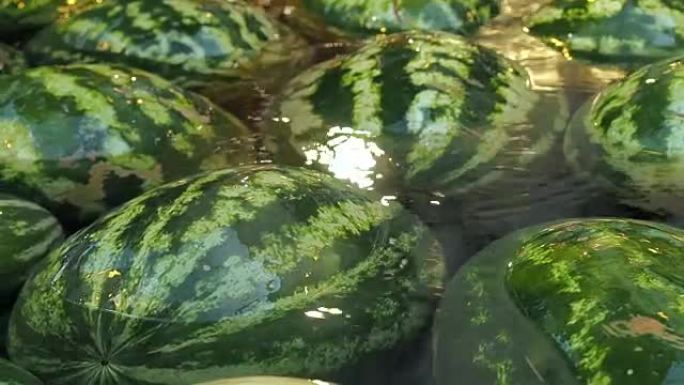 很多西瓜在水里。水果背景