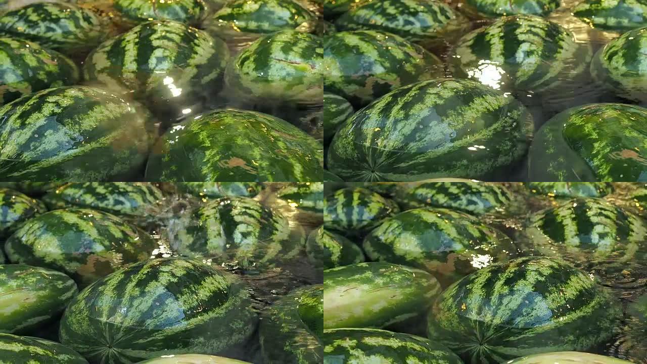 很多西瓜在水里。水果背景