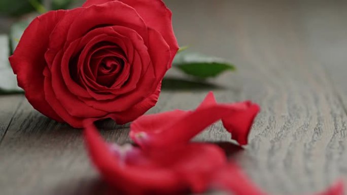 木制桌子上的一朵红玫瑰