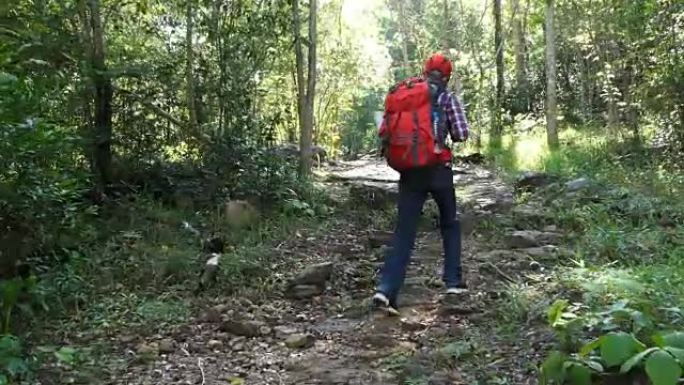 林地里有背包的高级徒步旅行者