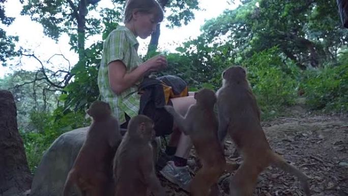 女孩喂养野生猴子