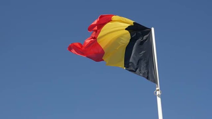 旗杆上慢动作的比利时国家象征织物