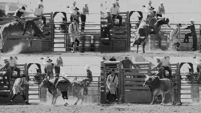 犹他州公牛竞技表演