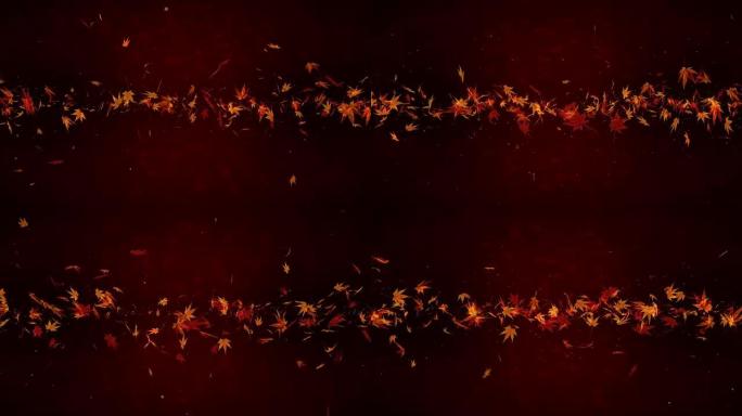 秋叶落在红色背景上，枫叶，循环闪光动画，