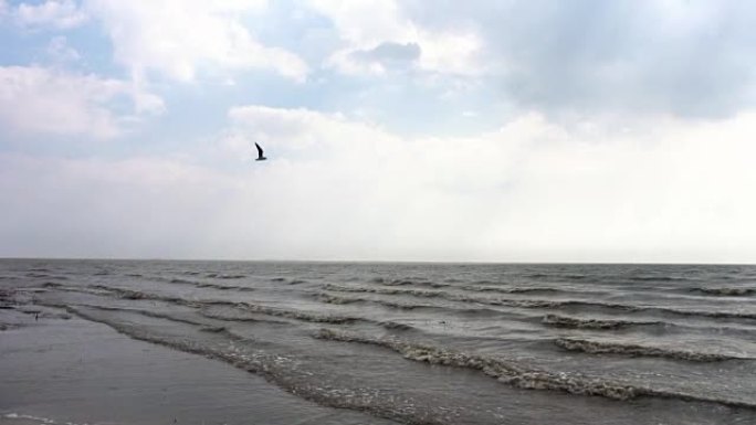 海浪和云中飞鸟的海岸线。视频。火山沙滩上海浪的海洋飞溅。宁静的海洋海岸线露出巨大的泡沫波浪冲刷海岸。