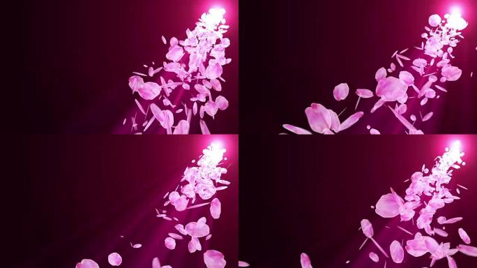 樱花的旋转，CG动画，循环