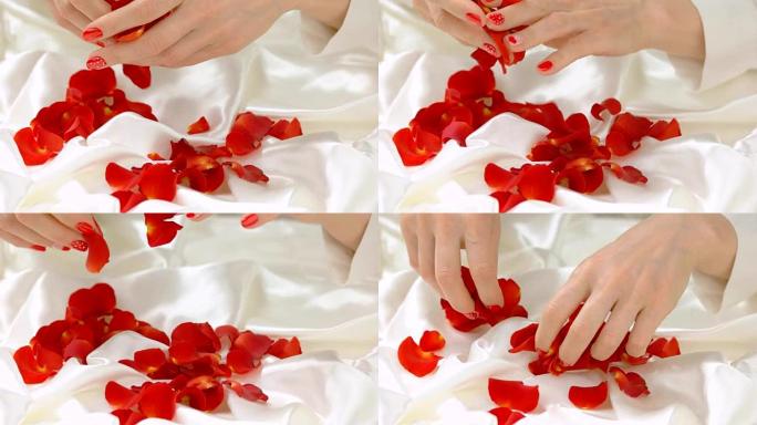 从雌性手上落下的红色花瓣。