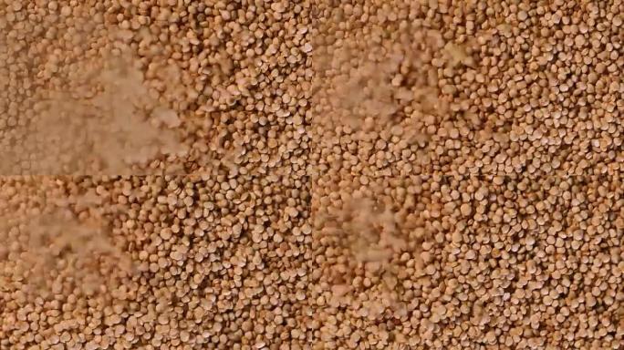 Close up white  quinoa seeds , a gluten free super