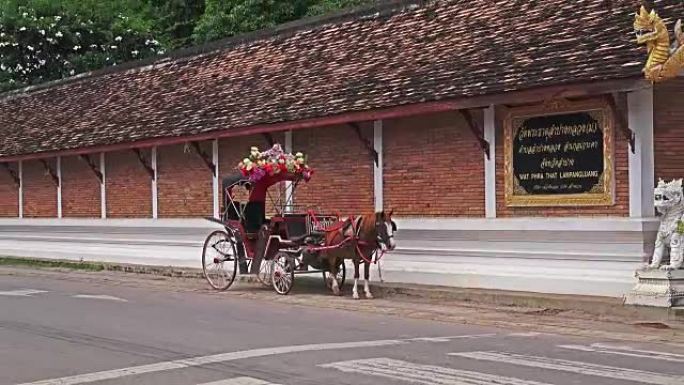 ZO: 泰国南邦的马车