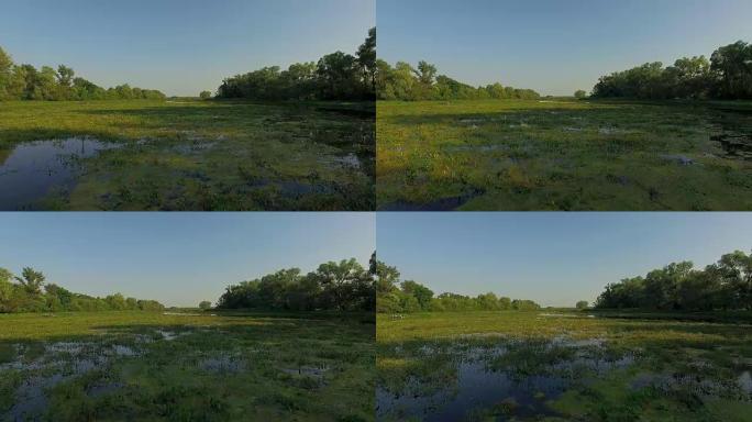 杂草丛生的池塘4K鸟瞰图