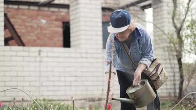 园艺工作时，园丁妇女从浇花盆里浇花床