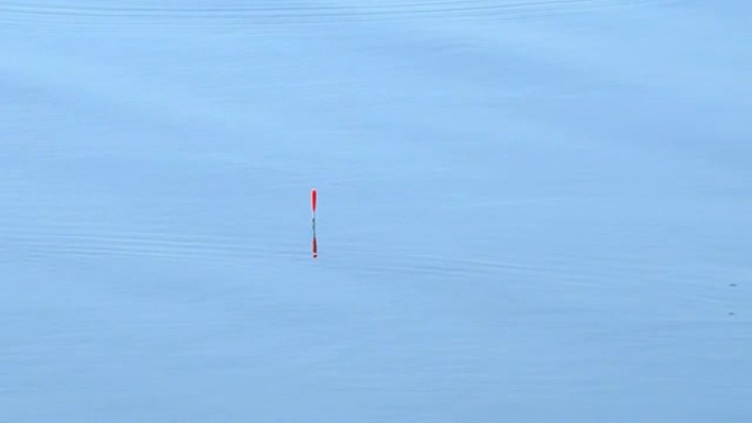 钓鱼在蓝色的水中漂浮着红色