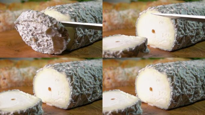 蓝灰色霉菌山羊奶酪