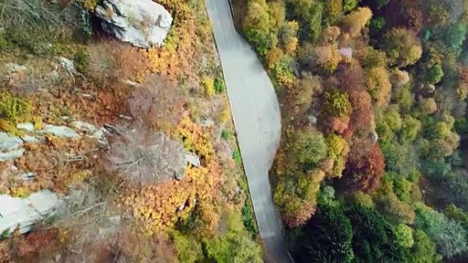 在五颜六色的乡村秋天森林中，高架空中俯视图跟随道路。秋天的橙色，绿色，黄色的红树树林。街道路径建立。