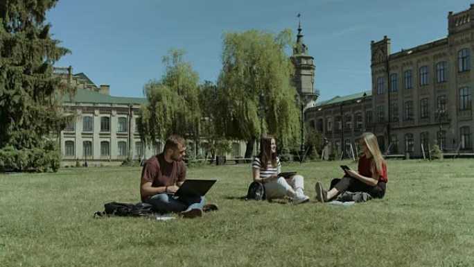 在校园草坪上学习的大学生群体