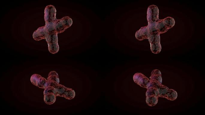 黑暗背景上的动画XY染色体。3D渲染