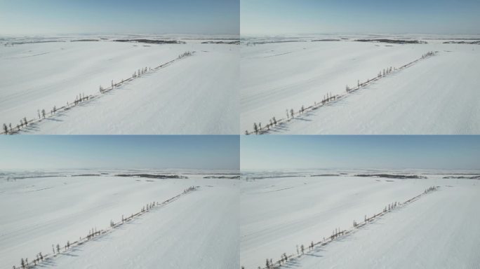 黑龙江五大连池平原林海雪原自然风光