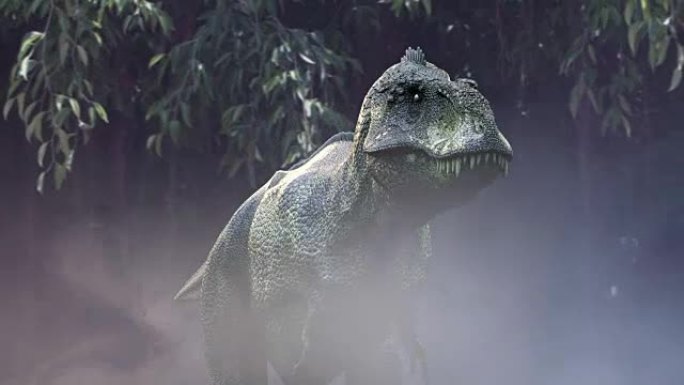 动画在丛林中运行恐龙霸王龙3d渲染