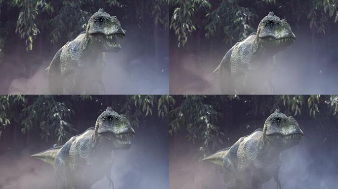 动画在丛林中运行恐龙霸王龙3d渲染