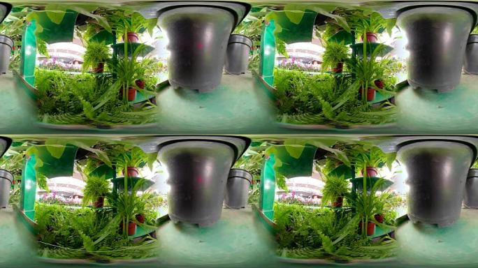 360的花园与绿色植物360虚拟