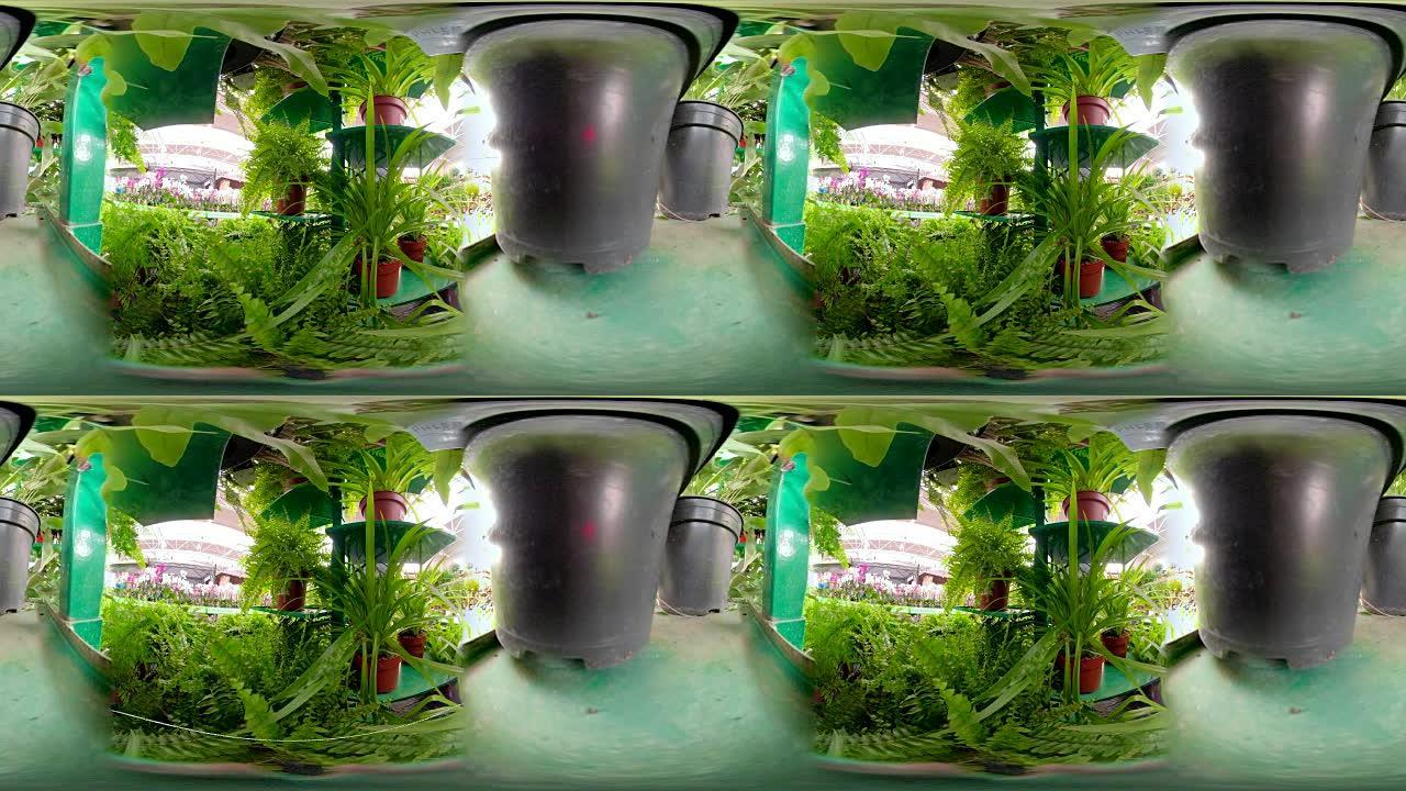 360的花园与绿色植物360虚拟
