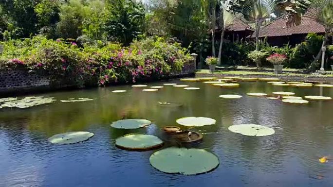 Tirta Gangga-巴厘岛的水上宫殿。
