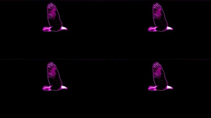 紫色霓虹灯秃鹰飞行卡通无缝循环动画孤立在黑色背景-新质量独特手工动态欢乐彩色视频动物鸟类镜头