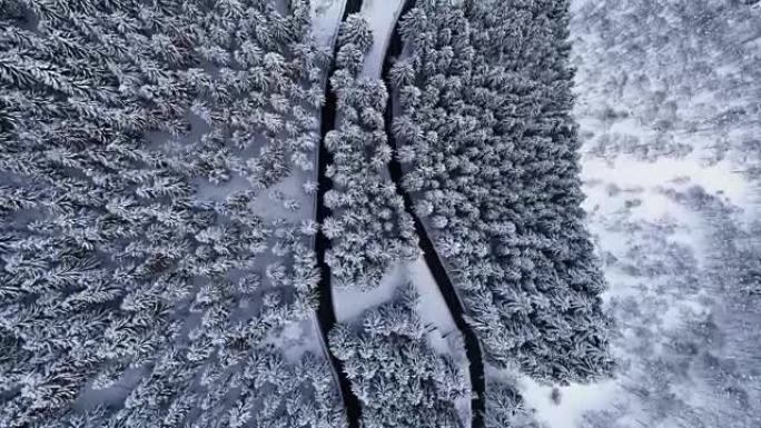 在山区积雪覆盖的冬季森林中，发夹弯转弯的高架俯视图。白松树树林。白雪街道路径建立。全高清无人机直飞建