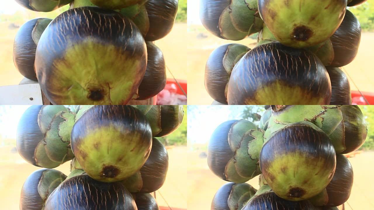 柬埔寨巴尔米拉水果