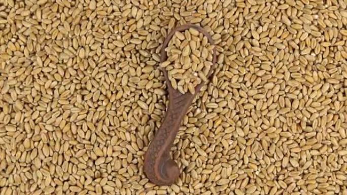 将小麦放在一堆小麦上的粘土勺子旋转。食物