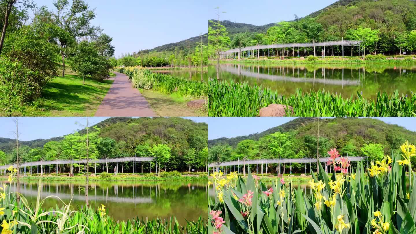 青秀山东区湖边步道