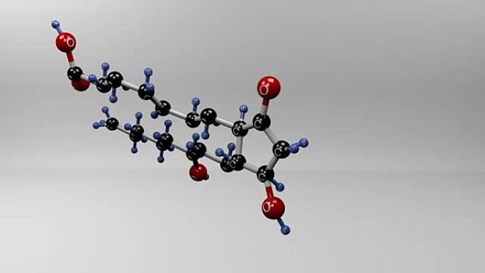 前列腺素E2分子。