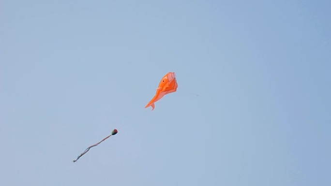 在蓝天和阳光普照的日子里，五颜六色的风筝在飞行中