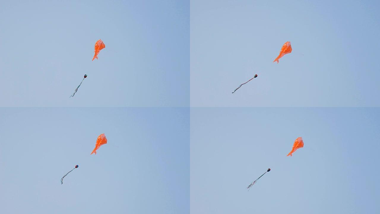 在蓝天和阳光普照的日子里，五颜六色的风筝在飞行中