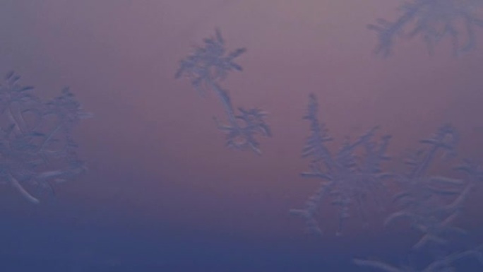 超微距拍摄中窗户上的雪花。