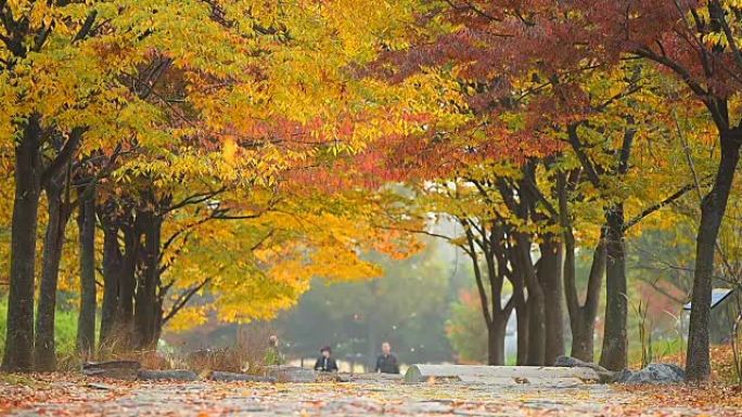 仁川公园首尔市的秋天。韩国