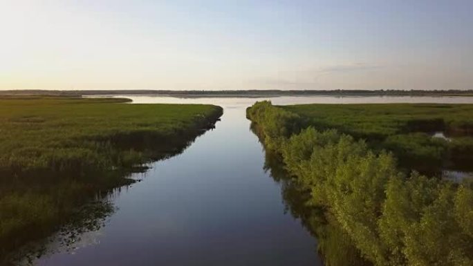 日落时的多瑙河三角洲湿地