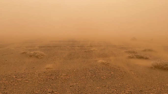 阿拉善 沙尘暴 恶劣天气 警务室