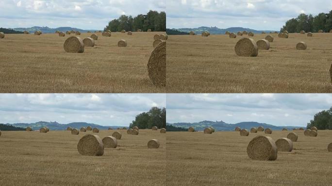 Wheat field after harvest with straw bales. Row of