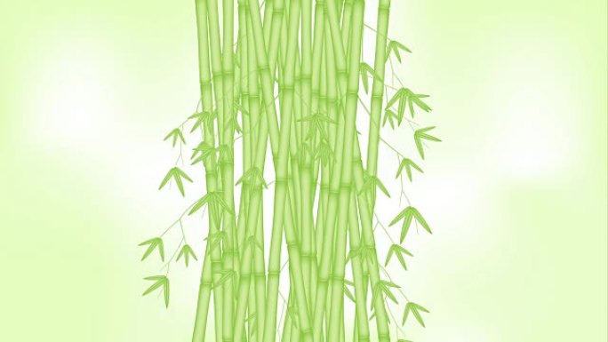 竹林随风移动循环和复制空间动画4k模糊绿色背景与阿尔法通道