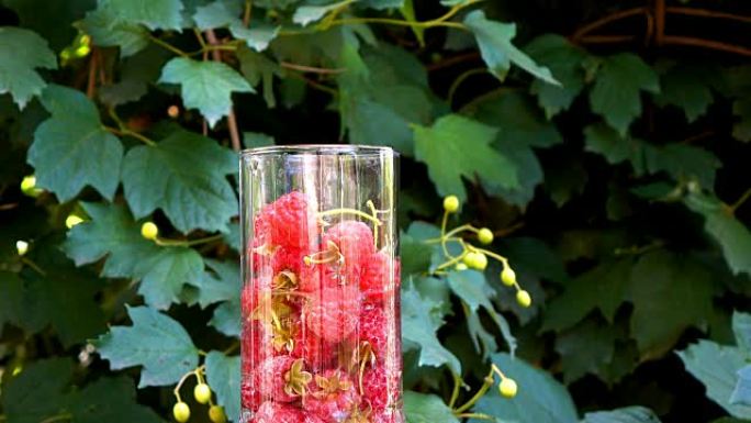 玻璃水中的红树莓电影