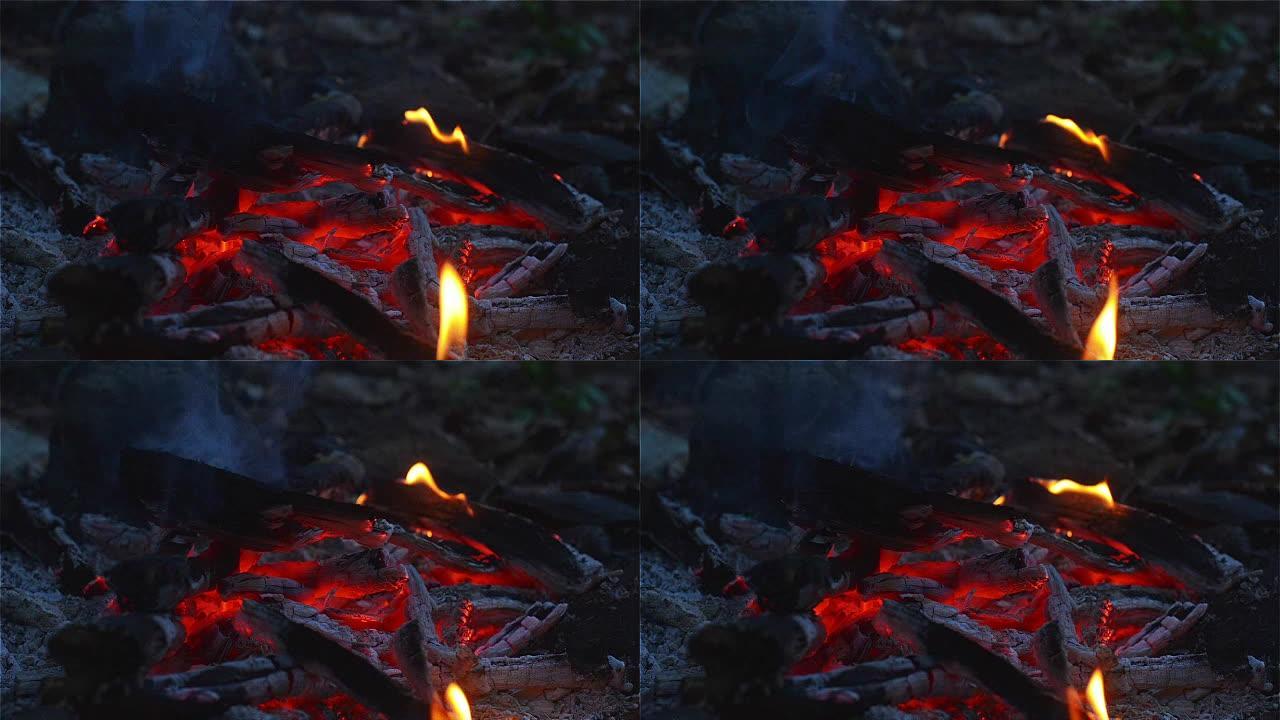 营地森林地面上的火与光