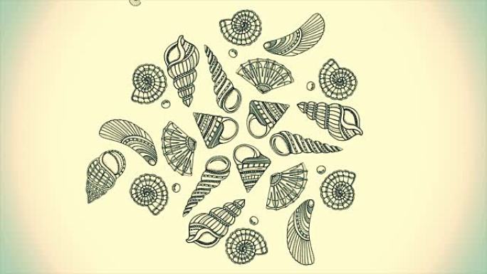 海贝和海星创造的背景图案。贝壳收藏背景隔离在白色背景上。顶视图